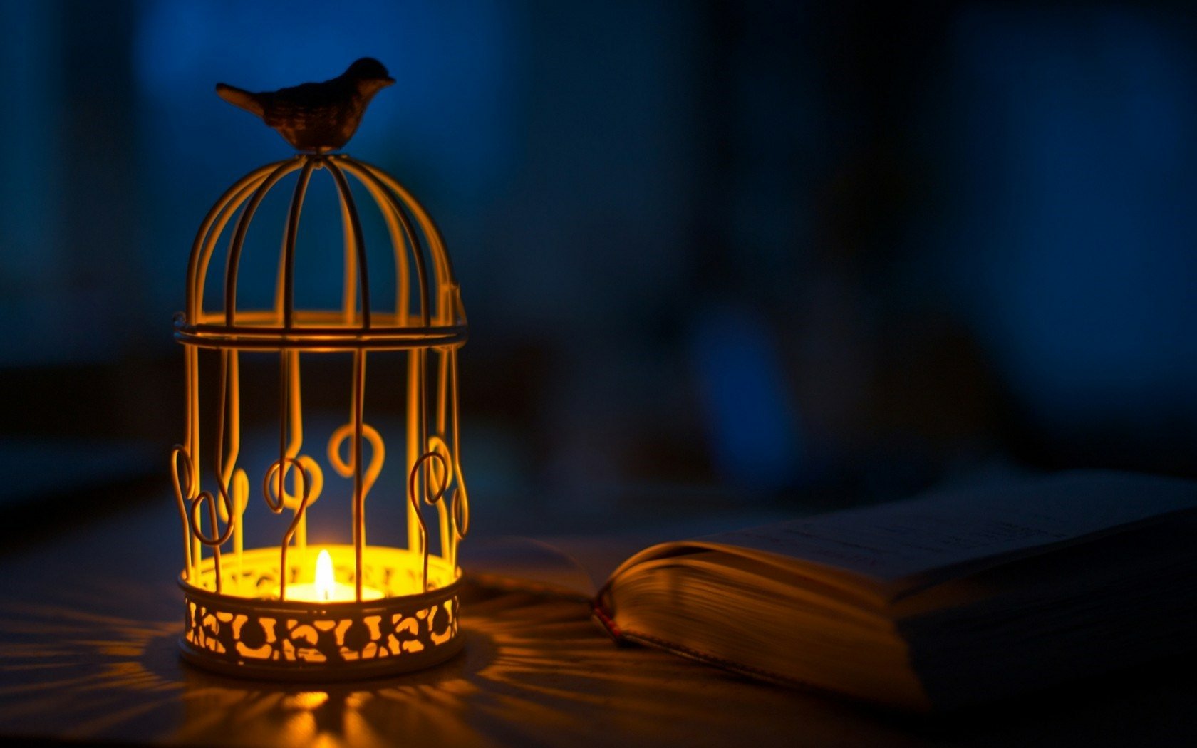 A serene scene featuring a bird atop a cage lit by a candle, with an open book nearby. This HD wallpaper captures a tranquil, cozy atmosphere.