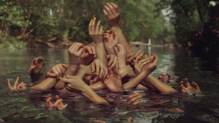 A striking artistic image featuring numerous outstretched hands emerging from a tranquil water surface, set against a lush green background, making a captivating HD desktop wallpaper.