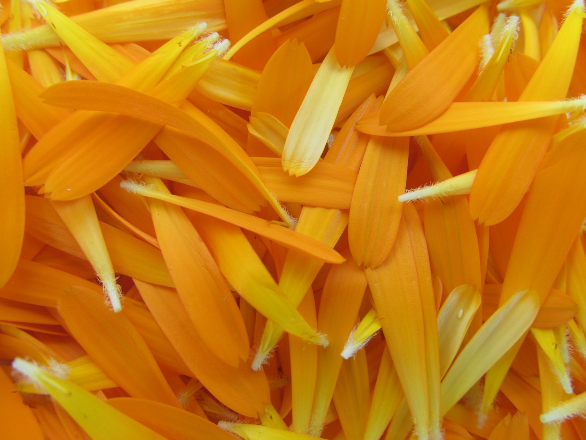 nature by AlphaSystem