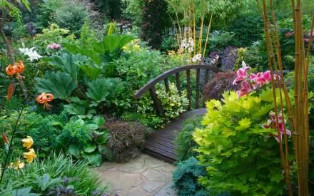 A lush, vibrant garden with diverse plants and flowers surrounds a charming wooden bridge. This HD desktop wallpaper captures the serene beauty of a well-maintained man-made garden.