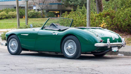 vehicle Austin-Healey 100 HD Desktop Wallpaper | Background Image
