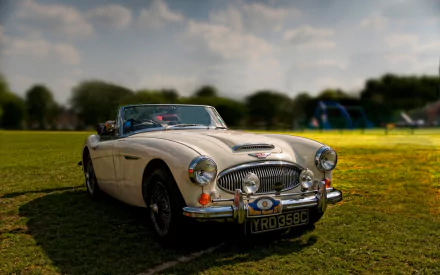 vehicle Austin-Healey 3000 HD Desktop Wallpaper | Background Image