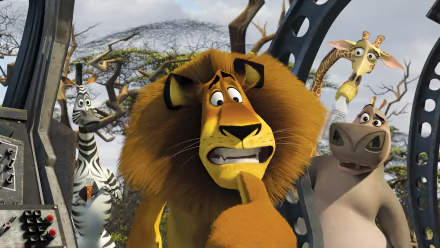 movie Madagascar: Escape 2 Africa HD Desktop Wallpaper | Background Image