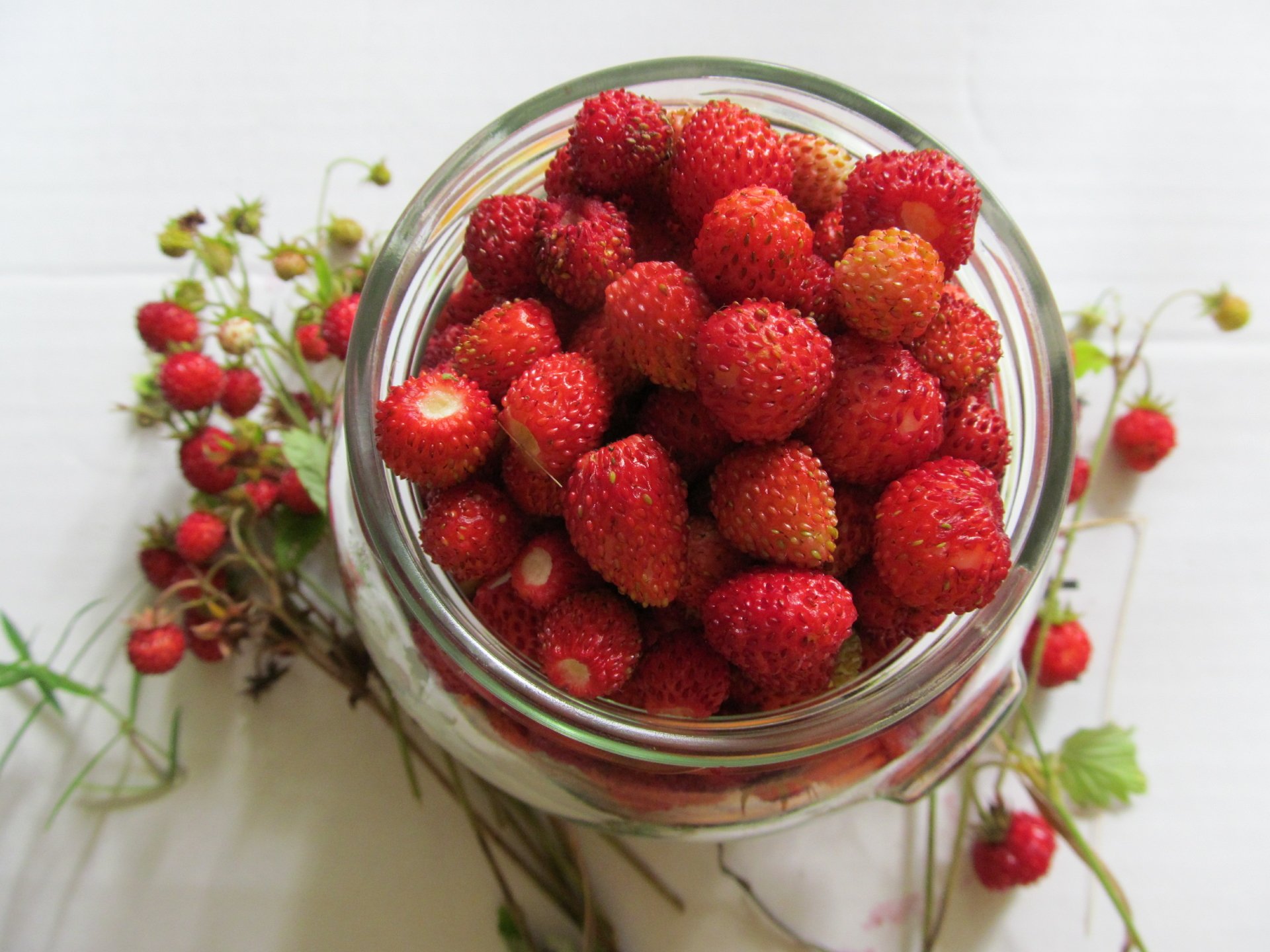 jagode by AlphaSystem