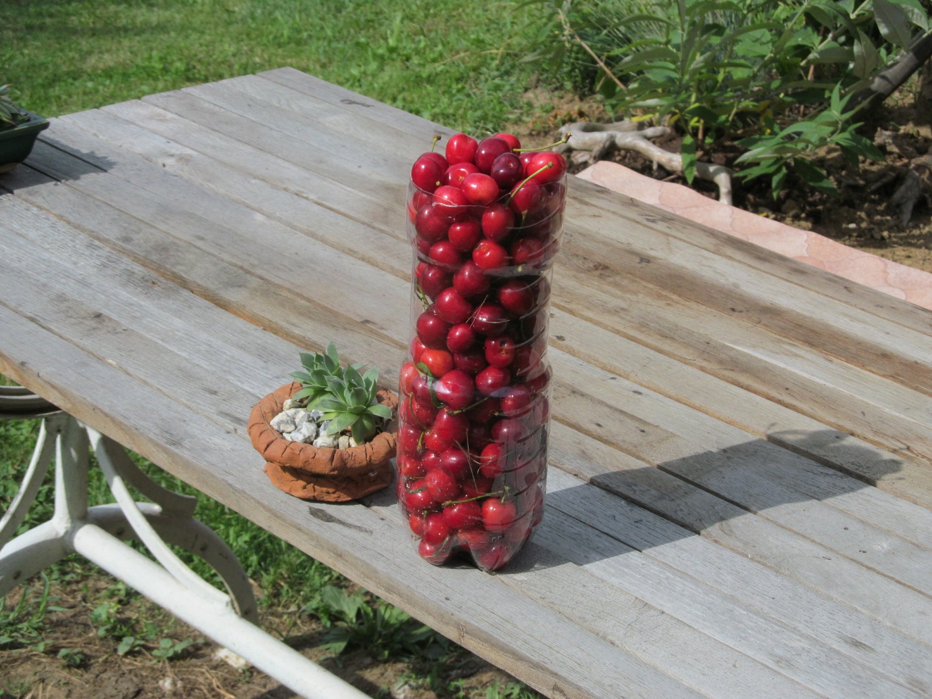4K Ultra HD PC desktop wallpaper: ripe cherries stacked in a clear bottle on a weathered wooden table outdoors with a small succulent pot — food, cherry.