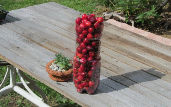 4K Ultra HD PC desktop wallpaper: ripe cherries stacked in a clear bottle on a weathered wooden table outdoors with a small succulent pot — food, cherry.