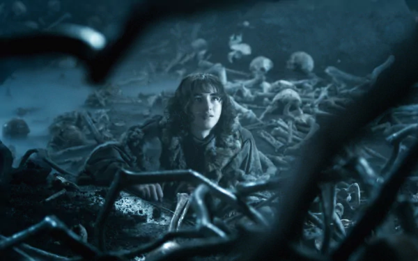 Isaac Hempstead-Wright Bran Stark TV Show Game Of Thrones HD Desktop Wallpaper | Background Image