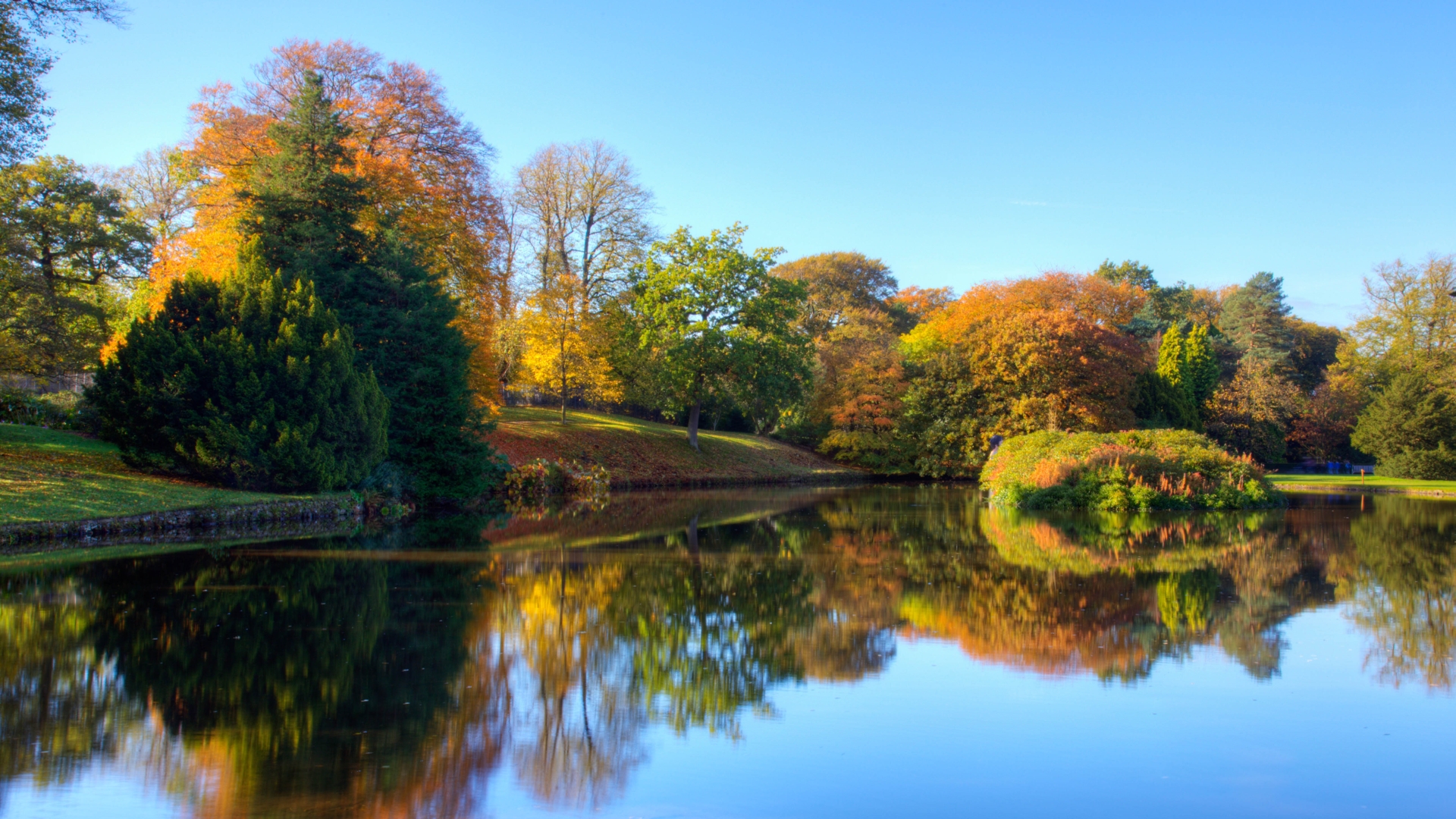 Download Reflection Park Tree Colors Water Lake Nature Fall HD Wallpaper