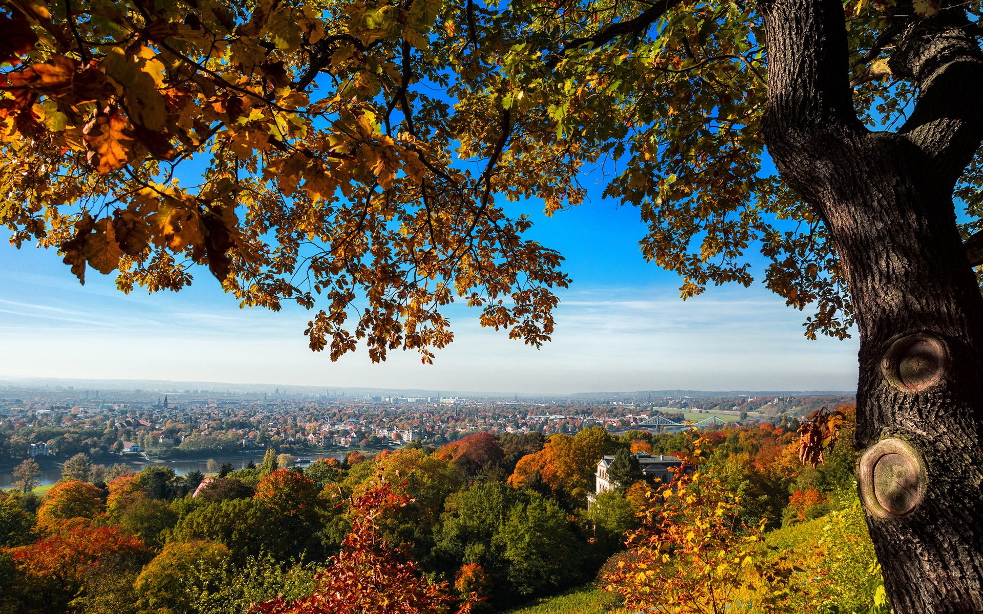 A vibrant fall landscape with colorful leaves framing a panoramic view of a town below, showcasing the beauty of nature in this HD desktop wallpaper.