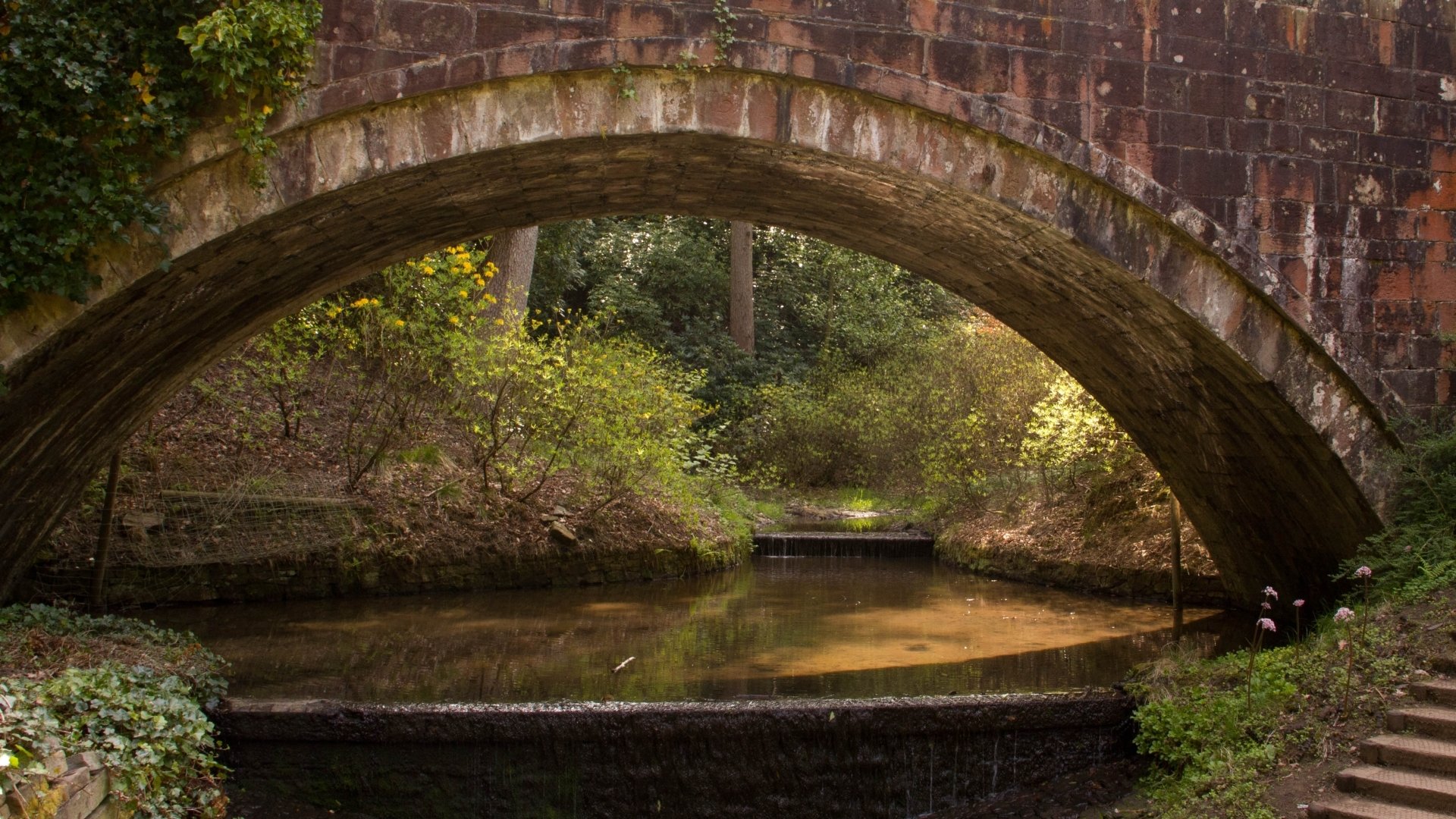 Download Man Made Lyme Park HD Wallpaper