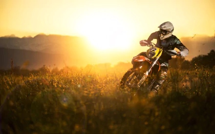 Motocross rider speeding through a field at sunset, creating a dynamic and intense atmosphere. HD desktop wallpaper and background.