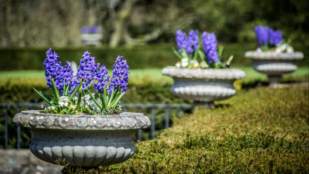 man made Lyme Park HD Desktop Wallpaper | Background Image
