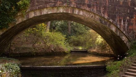 man made Lyme Park HD Desktop Wallpaper | Background Image