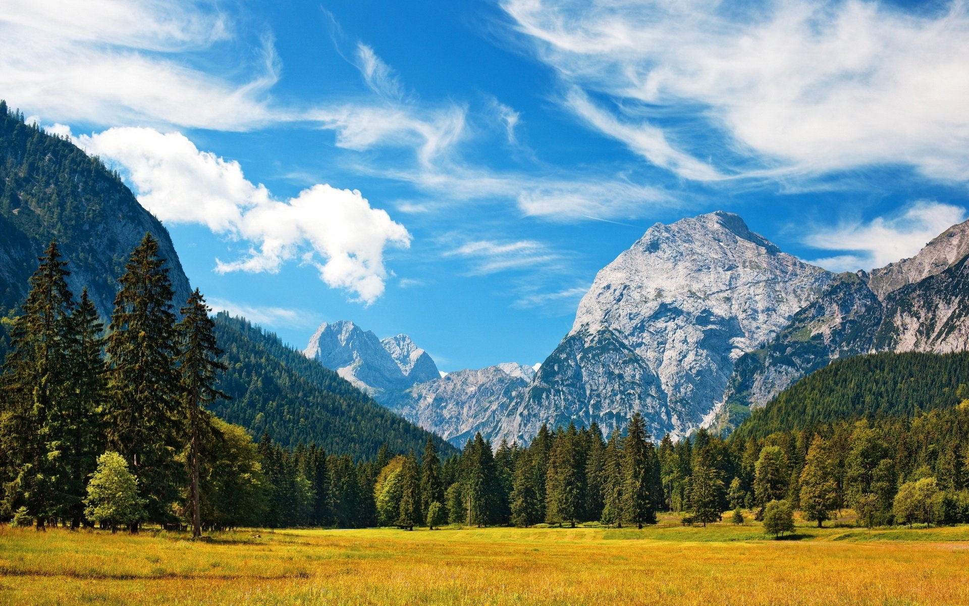 HD PC desktop wallpaper showing a vibrant mountain landscape with tall pine trees under a bright blue sky scattered with white clouds.