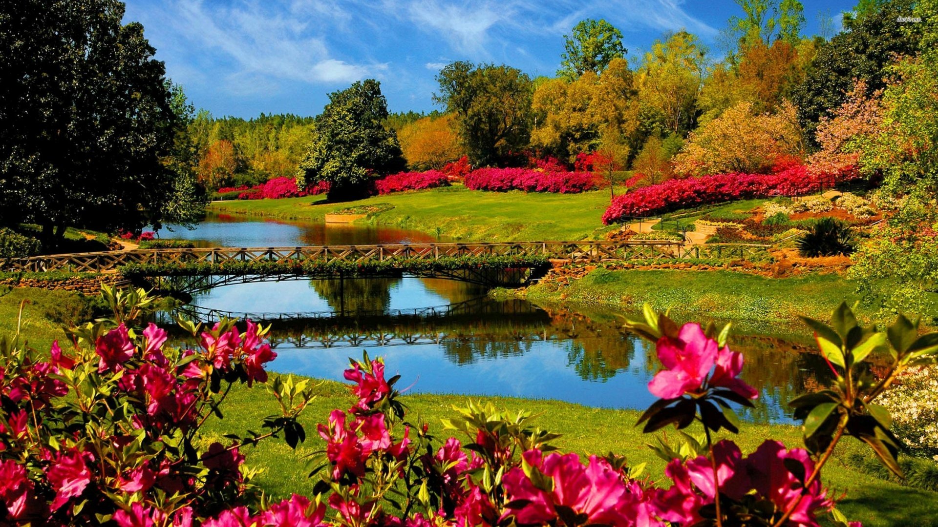 Vibrant park scene with blooming flowers, a serene pond, and a charming wooden bridge under a clear blue sky captured in HD photography for desktop wallpaper.