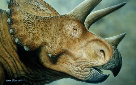 Close-up 4K Ultra HD PC desktop wallpaper of a detailed triceratops head showcasing textured skin and prominent horns against a soft green background.