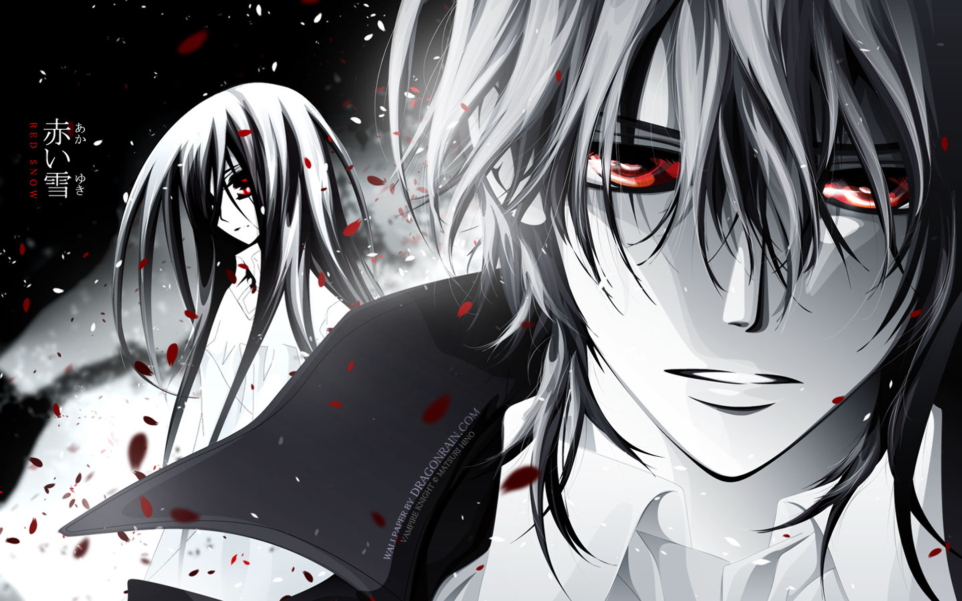 Vampire Knight Full HD Wallpaper and Background Image | 1920x1200 | ID