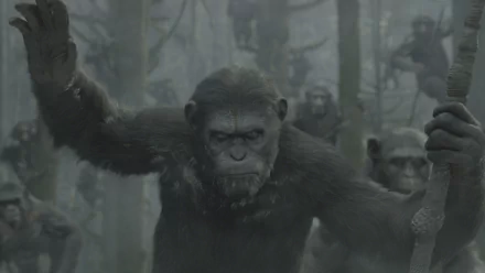 A powerful scene from Dawn of the Planet of the Apes, featuring a group of apes in a misty forest, showcasing their strength and unity in a gripping cinematic moment.