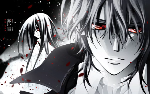 A striking HD wallpaper from the anime Vampire Knight featuring Yuki Kuran, surrounded by dark imagery and red petals, capturing the essence of its captivating storyline.