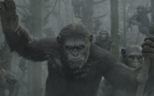 movie Dawn of the Planet of the Apes HD Desktop Wallpaper | Background Image