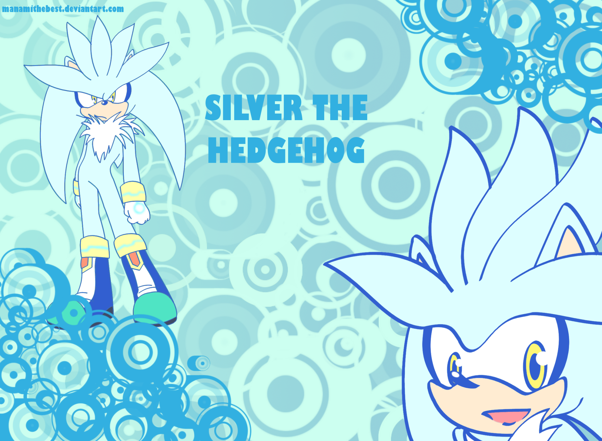 HD PC desktop wallpaper featuring Silver the Hedgehog from the video game Sonic the Hedgehog (2006) on a teal, circular-patterned background.