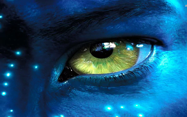 Close-up of a glowing yellow eye on a blue face from the movie Avatar. This HD desktop wallpaper and background showcases intricate details and vibrant colors.