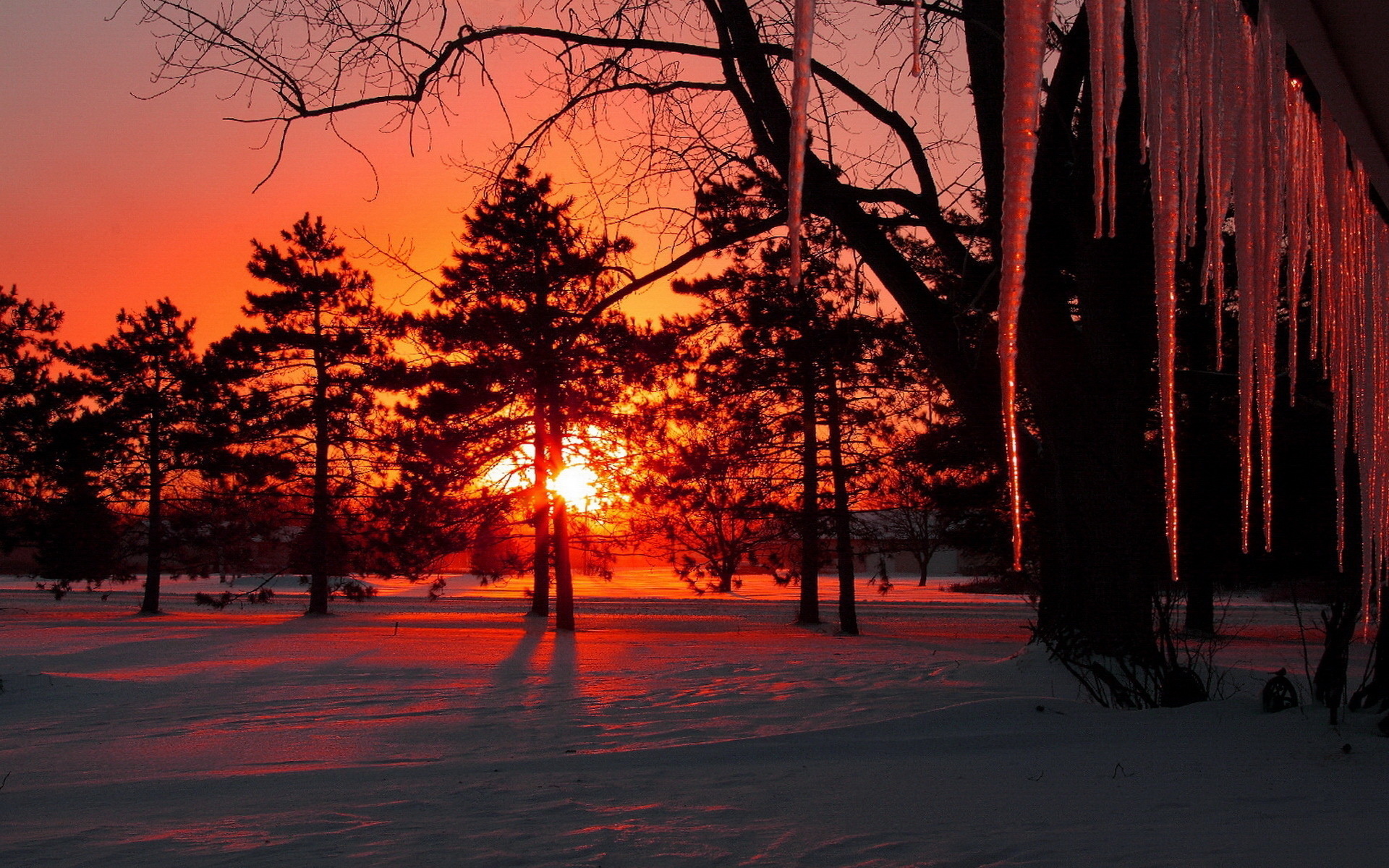 Earth Sunset HD Wallpaper | Background Image