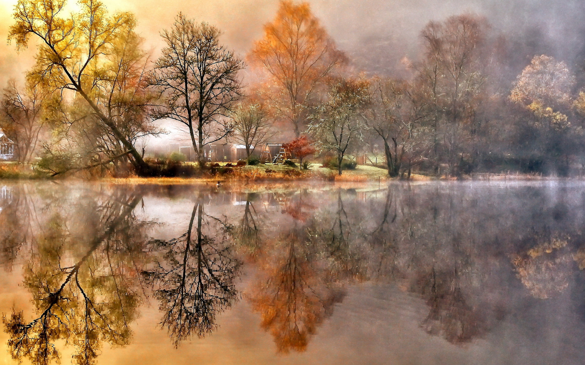 Nature Reflection HD Wallpaper