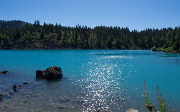 HD PC desktop wallpaper — Garibaldi Lake: turquoise water sparkling in sunlight, rocky foreground and dense evergreen shoreline beneath a clear blue sky.