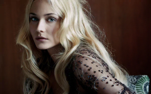Diane Kruger gazes thoughtfully in this HD desktop wallpaper, showcasing her striking features and elegant style against a warm background.