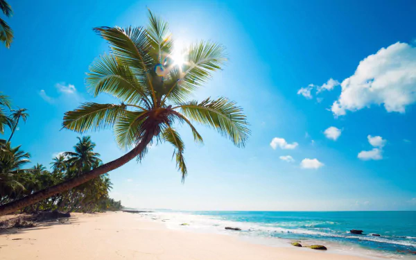 ocean sea cloud sky caribbean nature beach HD Desktop Wallpaper | Background Image