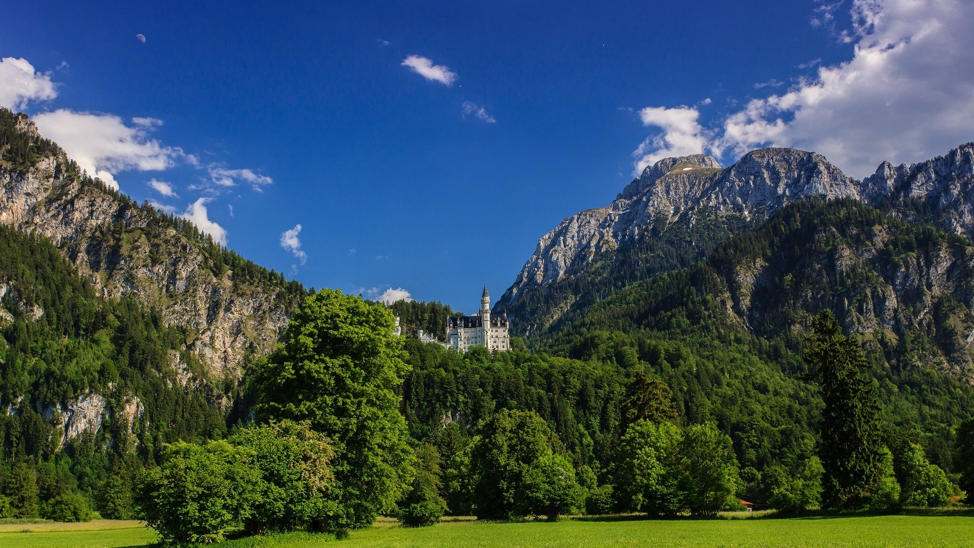 Download Bavaria Germany Mountain Man Made Neuschwanstein Castle HD Wallpaper