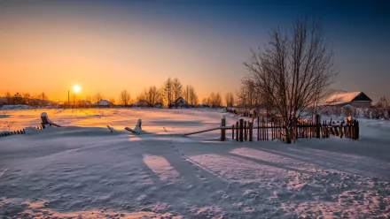 HD winter sunset scene with snow-covered ground, bare trees, and long shadows, captured in stunning photography for a serene PC desktop wallpaper background.