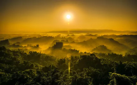 HD PC desktop wallpaper showcasing a golden sunbeam illuminating lush green forest under a hazy sky, capturing the serene beauty of nature at sunrise.