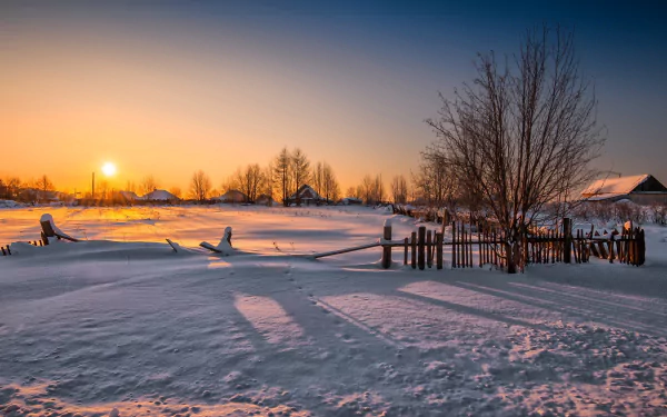HD winter sunset scene with snow-covered ground, bare trees, and long shadows, captured in stunning photography for a serene PC desktop wallpaper background.