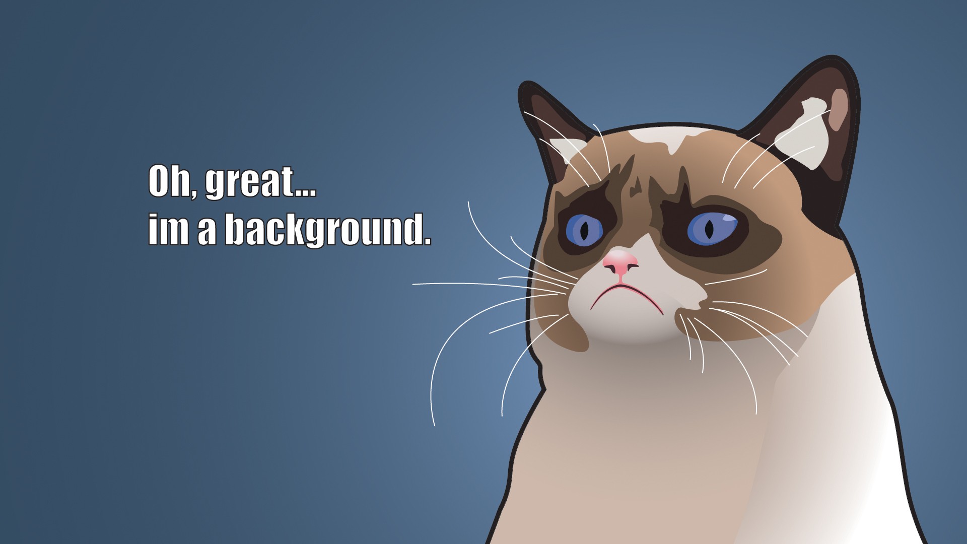 grumpy cat wallpaper 1920x1080