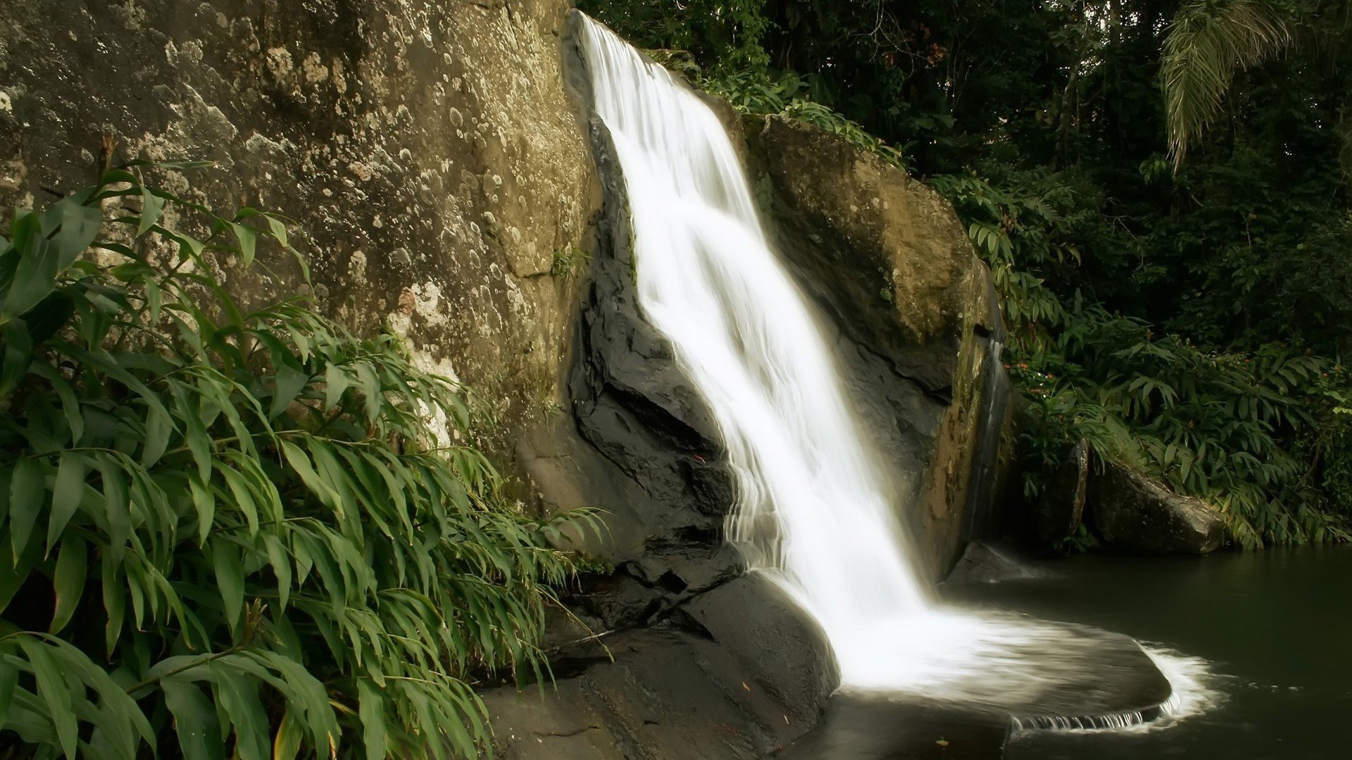 Download Nature Waterfall HD Wallpaper | 1920x1080 | Wallpaper Abyss