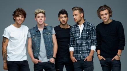 An HD desktop wallpaper featuring the music group One Direction. The members are casually dressed, standing against a plain background, each with a distinct style and relaxed pose.