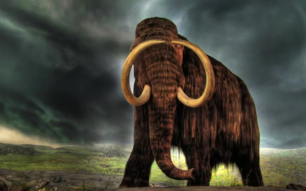 A majestic mammoth stands against a dramatic backdrop, showcasing its giant tusks in a Pliocene landscape. A striking HD desktop wallpaper celebrating this extinct animal.