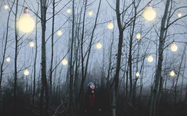 HD PC desktop wallpaper showing a man-made arrangement of glowing light bulbs hanging among bare trees in a misty forest at dusk.