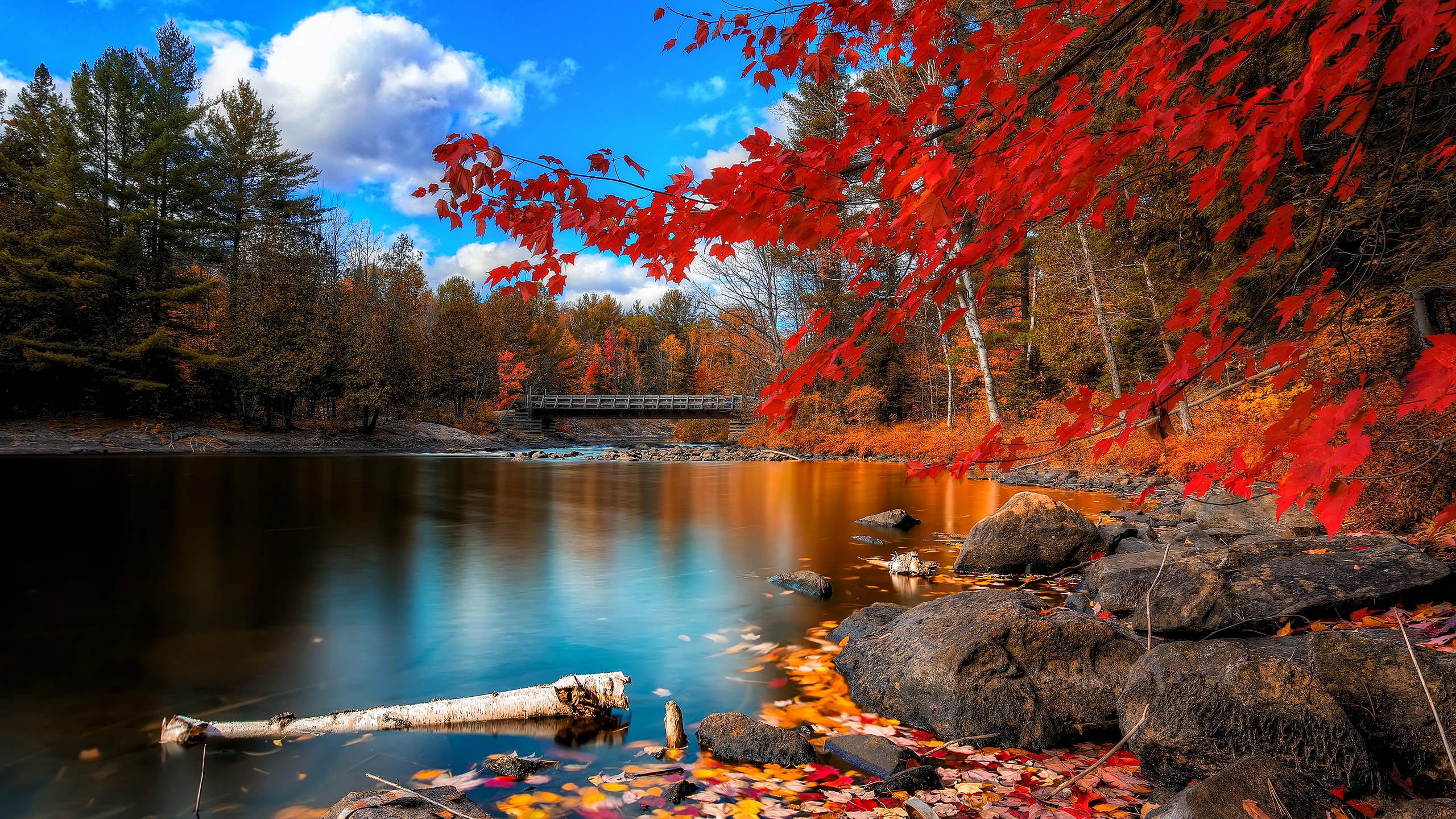 Download Nature Fall HD Wallpaper