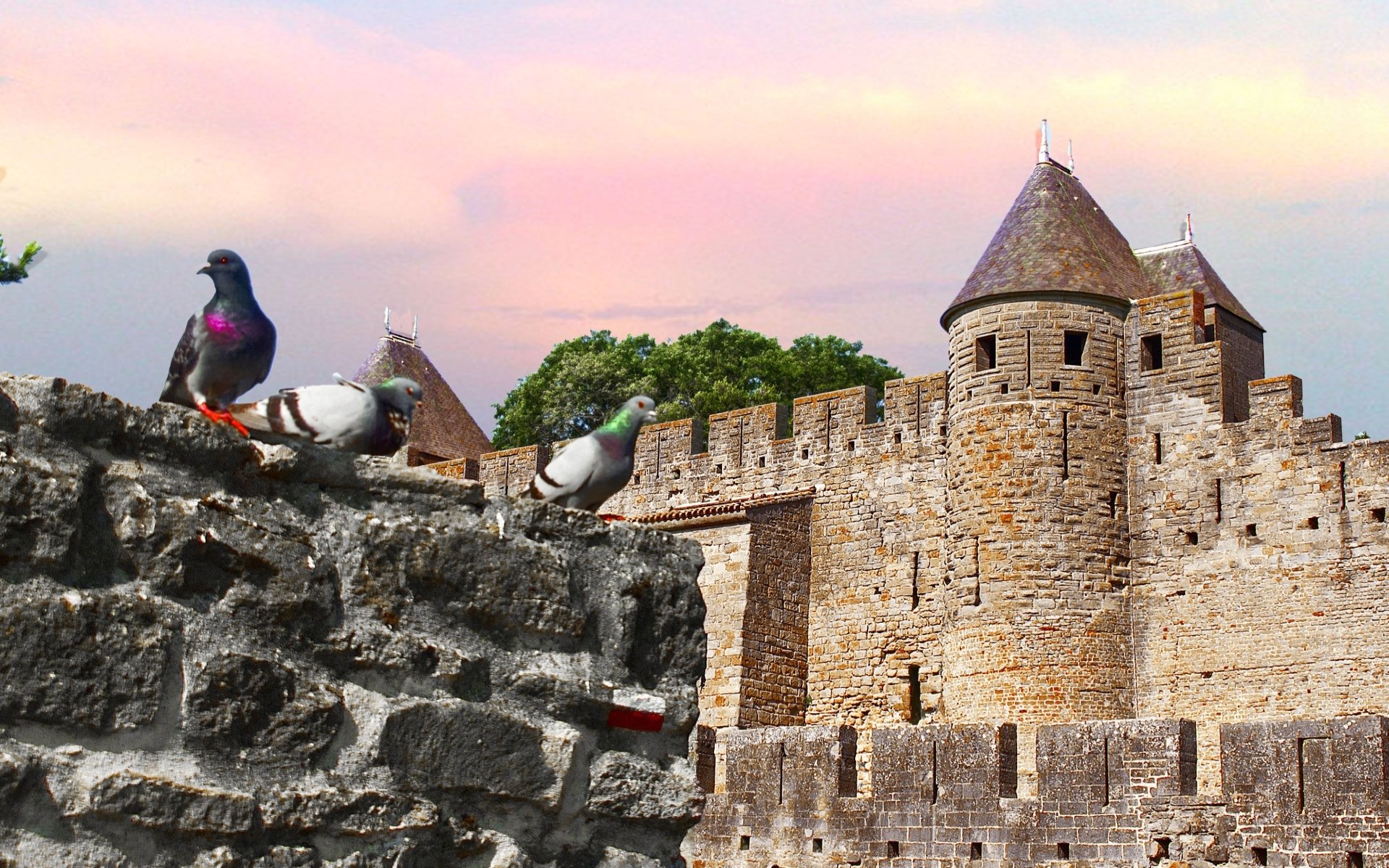 Download Man Made Carcassonne HD Wallpaper
