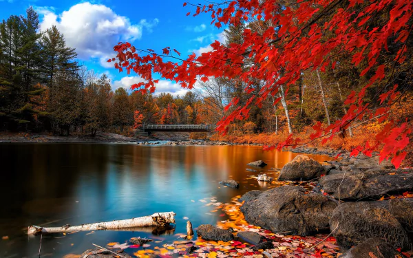A serene autumn scene featuring vibrant red leaves reflecting in a calm body of water, surrounded by rocks and lush greenery, showcasing the beauty of nature in fall. HD desktop wallpaper.