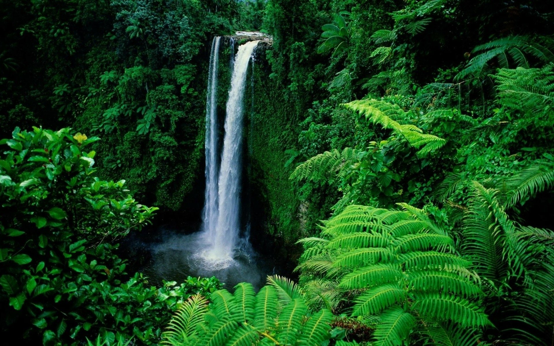 HD PC desktop wallpaper showing a vibrant green forest with a tall waterfall cascading into a pool below, surrounded by lush ferns and dense vegetation.
