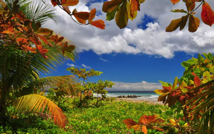 HD PC desktop wallpaper showcasing a vibrant island scene with lush tropical foliage, colorful leaves, and a bright blue sky over the ocean horizon.