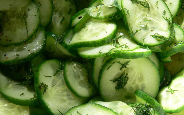 food cucumber HD Desktop Wallpaper | Background Image