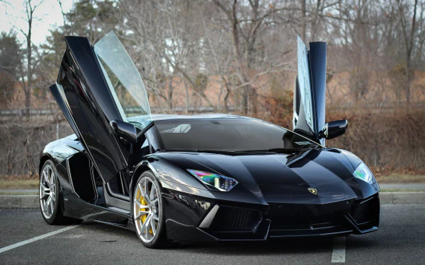 A sleek black Lamborghini Aventador showcases its iconic design with doors open, set against a serene background, making it a striking HD desktop wallpaper and background.