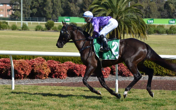 A jockey in purple attire races a horse on a vibrant track, showcasing the thrill of horse racing amidst lush greenery. This HD image captures the excitement of the sport.