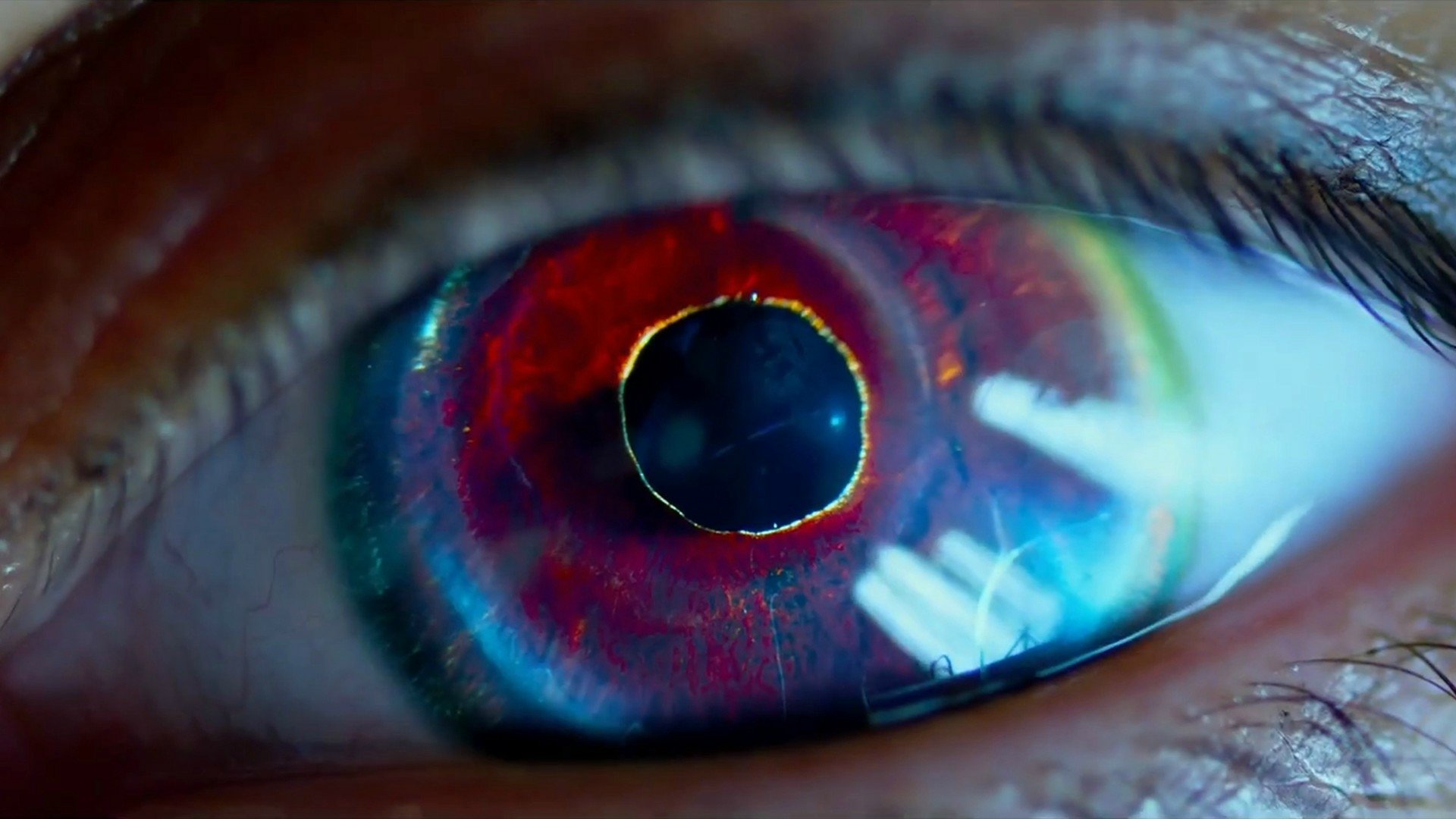 Download Movie Lucy HD Wallpaper