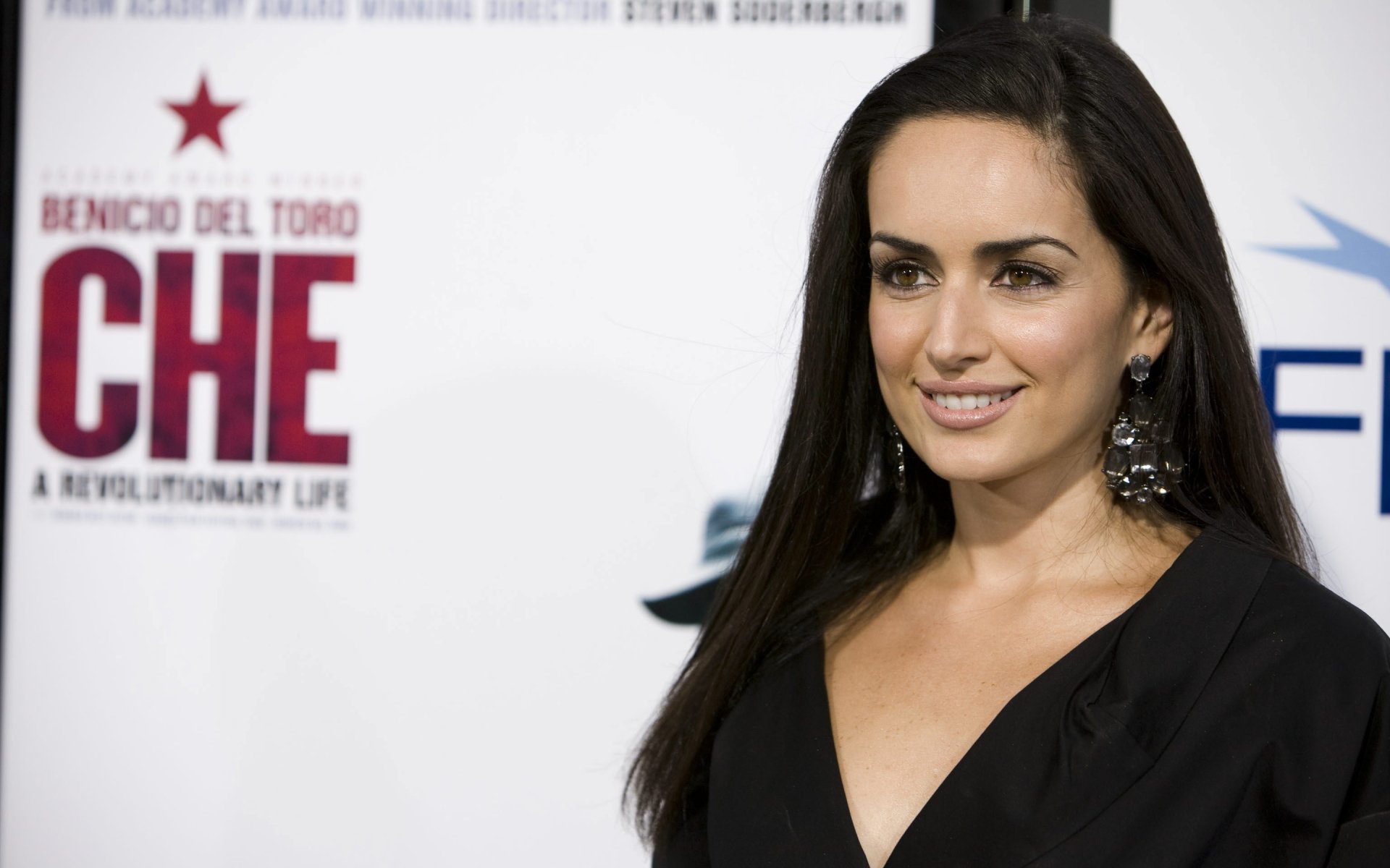 HD desktop wallpaper featuring Mexican actress and celebrity Ana de la Reguera at a red carpet event.